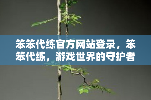 笨笨代练官方网站登录，笨笨代练，游戏世界的守护者还是破坏者？