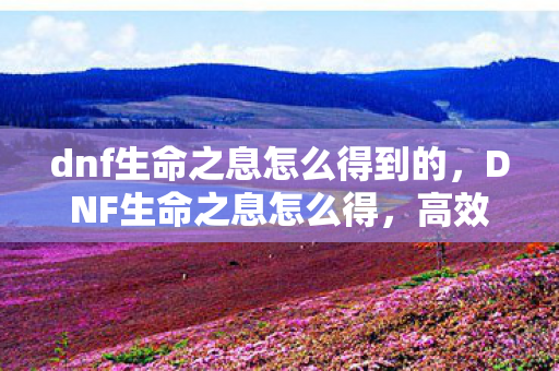 dnf生命之息怎么得到的，DNF生命之息怎么得，高效获取攻略