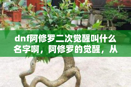 dnf阿修罗二次觉醒叫什么名字啊,阿修罗的觉醒,从天帝到极诣·阿修罗 dnf阿修罗二次觉醒叫什么名字啊,阿修罗的觉醒,从天帝到极诣·阿修罗