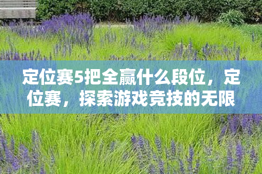 定位赛5把全赢什么段位,定位赛,探索游戏竞技的无限可能 定位赛5把全赢什么段位,定位赛,探索游戏竞技的无限可能