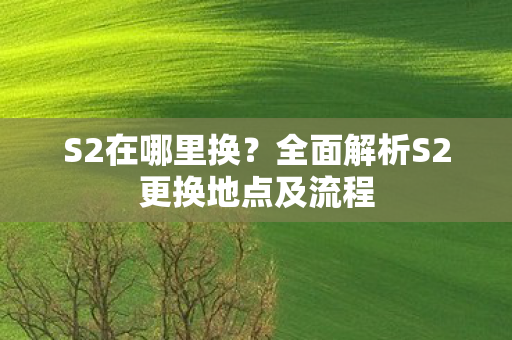 S2在哪里换？全面解析S2更换地点及流程