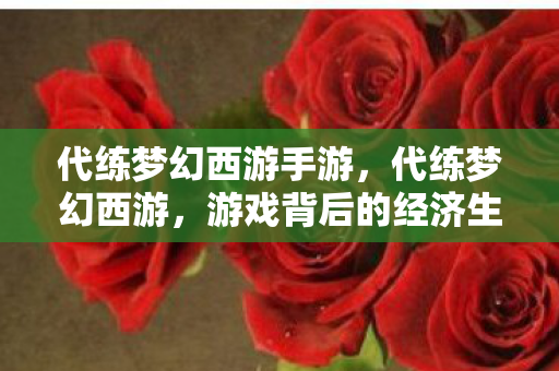 代练梦幻西游手游,代练梦幻西游,游戏背后的经济生态与职业挑战 代练梦幻西游手游,代练梦幻西游,游戏背后的经济生态与职业挑战