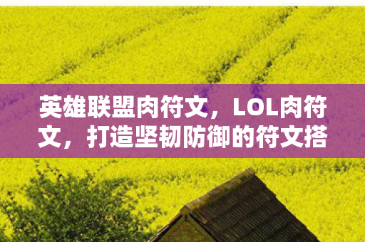 英雄联盟肉符文，LOL肉符文，打造坚韧防御的符文搭配指南