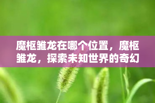 魔枢雏龙在哪个位置，魔枢雏龙，探索未知世界的奇幻之旅