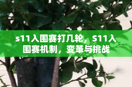 s11入围赛打几轮,S11入围赛机制,变革与挑战 s11入围赛打几轮,S11入围赛机制,变革与挑战