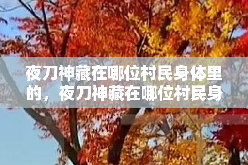 夜刀神藏在哪位村民身体里的，夜刀神藏在哪位村民身体里