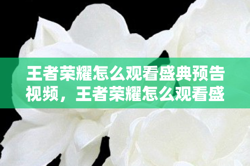 王者荣耀怎么观看盛典预告视频，王者荣耀怎么观看盛典预告