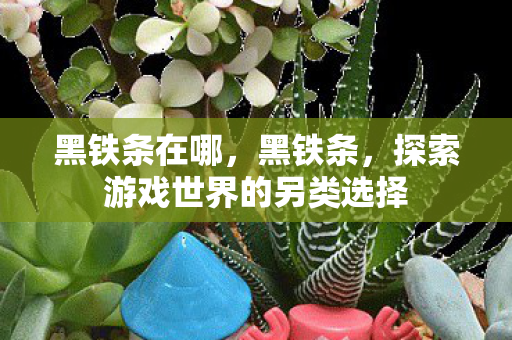 黑铁条在哪,黑铁条,探索游戏世界的另类选择 黑铁条在哪,黑铁条,探索游戏世界的另类选择