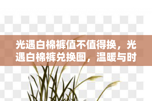 光遇白棉裤值不值得换，光遇白棉裤兑换图，温暖与时尚的完美融合