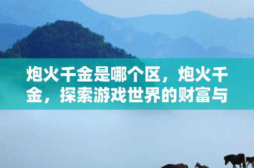 炮火千金是哪个区，炮火千金，探索游戏世界的财富与荣耀