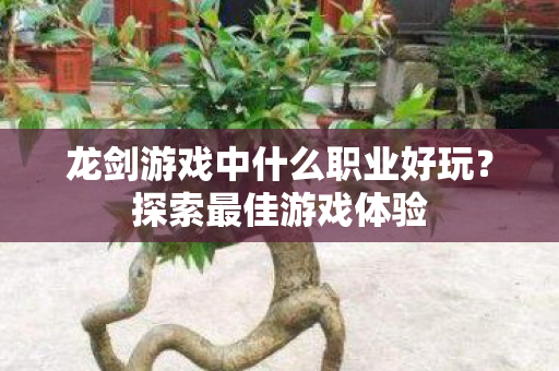 龙剑游戏中什么职业好玩？探索最佳游戏体验