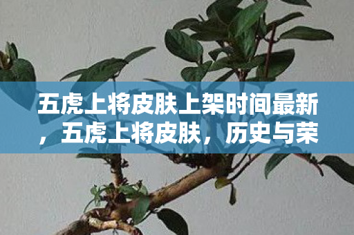 五虎上将皮肤上架时间最新，五虎上将皮肤，历史与荣耀的再现