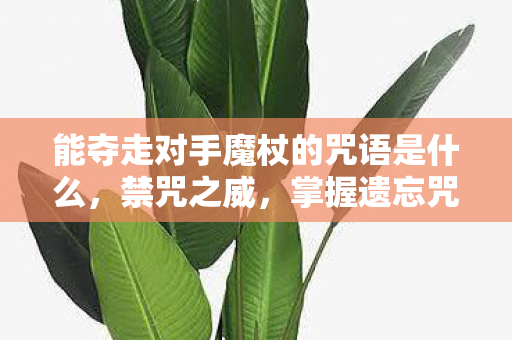 能夺走对手魔杖的咒语是什么，禁咒之威，掌握遗忘咒的奥秘