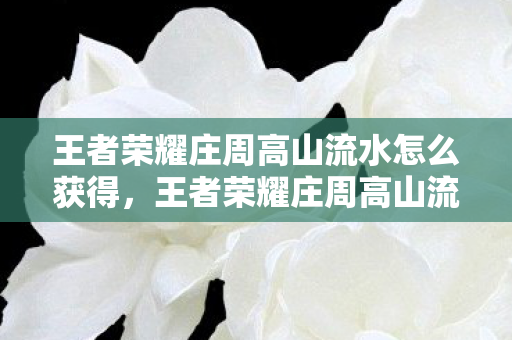 王者荣耀庄周高山流水怎么获得，王者荣耀庄周高山流水怎么获得