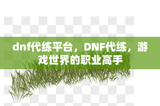 dnf代练平台，DNF代练，游戏世界的职业高手