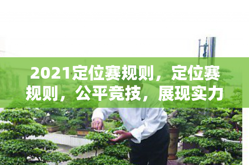 2021定位赛规则,定位赛规则,公平竞技,展现实力 2021定位赛规则,定位赛规则,公平竞技,展现实力