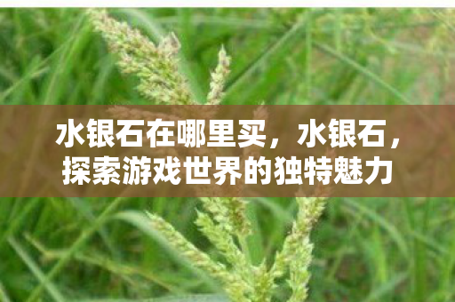 水银石在哪里买,水银石,探索游戏世界的独特魅力 水银石在哪里买,水银石,探索游戏世界的独特魅力