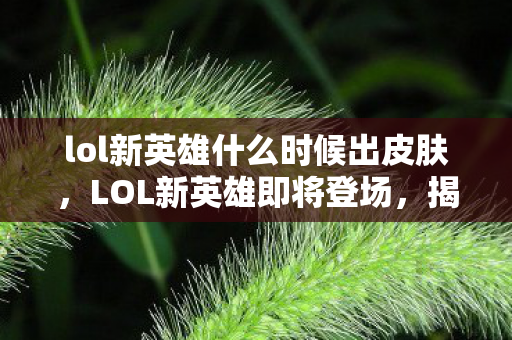 lol新英雄什么时候出皮肤，LOL新英雄即将登场，揭秘新英雄发布时间与背景故事