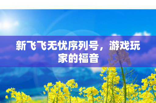 新飞飞无忧序列号，游戏玩家的福音