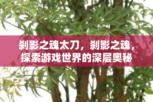 刹影之魂太刀，刹影之魂，探索游戏世界的深层奥秘