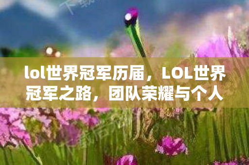 lol世界冠军历届，LOL世界冠军之路，团队荣耀与个人梦想的交响曲