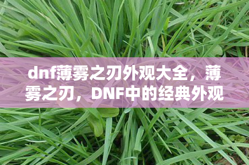 dnf薄雾之刃外观大全，薄雾之刃，DNF中的经典外观与传承