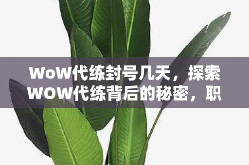 WoW代练封号几天，探索WOW代练背后的秘密，职业玩家的生存之道