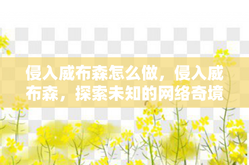 侵入威布森怎么做，侵入威布森，探索未知的网络奇境