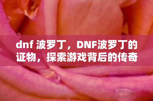 dnf 波罗丁，DNF波罗丁的证物，探索游戏背后的传奇故事