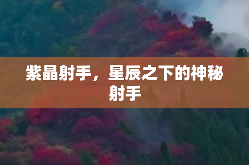 紫晶射手，星辰之下的神秘射手