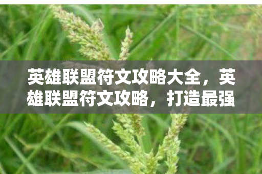 英雄联盟符文攻略大全，英雄联盟符文攻略，打造最强英雄，征服召唤师峡谷