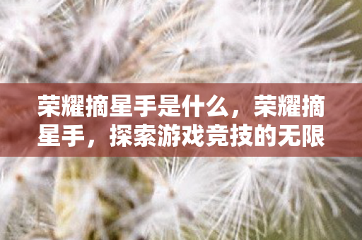 荣耀摘星手是什么,荣耀摘星手,探索游戏竞技的无限可能 荣耀摘星手是什么,荣耀摘星手,探索游戏竞技的无限可能