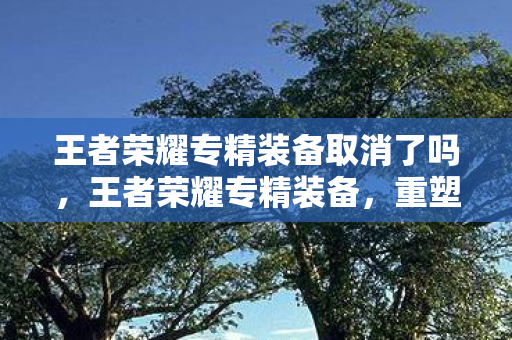 王者荣耀专精装备取消了吗,王者荣耀专精装备,重塑英雄,开启全新战场 王者荣耀专精装备取消了吗,王者荣耀专精装备,重塑英雄,开启全新战场