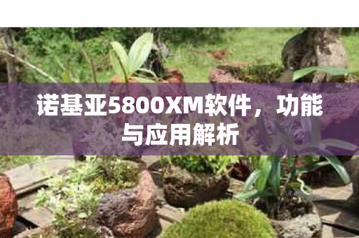 诺基亚5800XM软件，功能与应用解析
