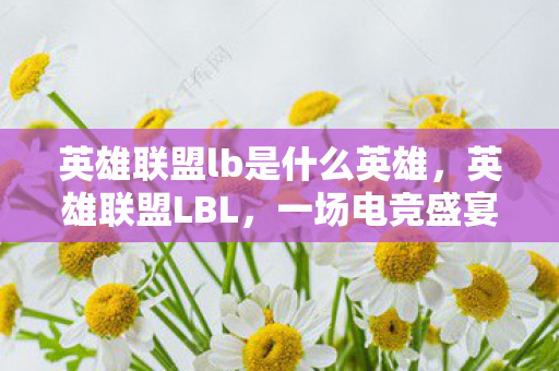 英雄联盟lb是什么英雄，英雄联盟LBL，一场电竞盛宴的幕后解析