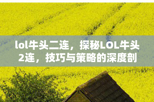 lol牛头二连,探秘LOL牛头2连,技巧与策略的深度剖析 lol牛头二连,探秘LOL牛头2连,技巧与策略的深度剖析