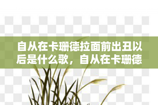 自从在卡珊德拉面前出丑以后是什么歌,自从在卡珊德拉面前出丑以后 自从在卡珊德拉面前出丑以后是什么歌,自从在卡珊德拉面前出丑以后