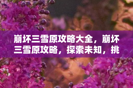 崩坏三雪原攻略大全,崩坏三雪原攻略,探索未知,挑战极限 崩坏三雪原攻略大全,崩坏三雪原攻略,探索未知,挑战极限