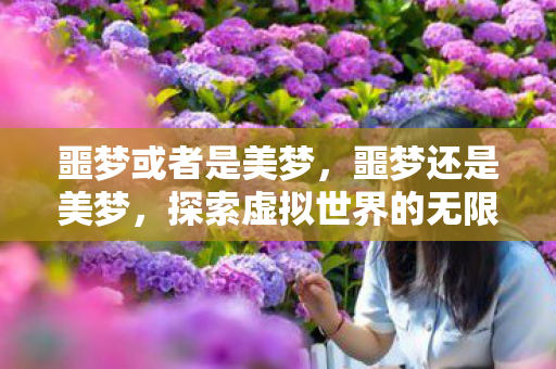 噩梦或者是美梦，噩梦还是美梦，探索虚拟世界的无限可能