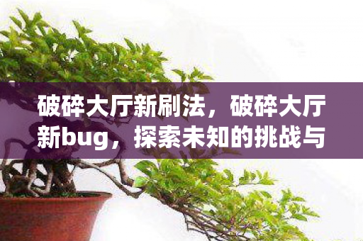 破碎大厅新刷法，破碎大厅新bug，探索未知的挑战与机遇