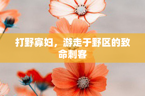 打野寡妇,游走于野区的致命刺客 打野寡妇,游走于野区的致命刺客