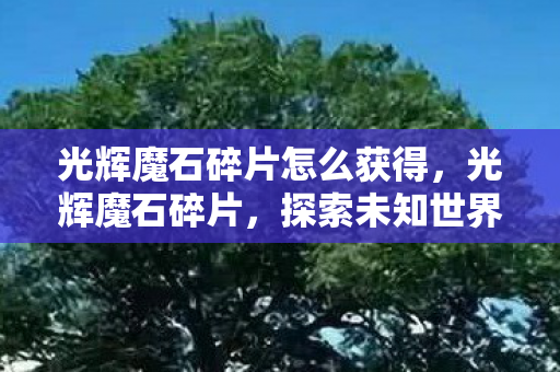 光辉魔石碎片怎么获得,光辉魔石碎片,探索未知世界的神秘钥匙 光辉魔石碎片怎么获得,光辉魔石碎片,探索未知世界的神秘钥匙