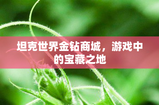 坦克世界金钻商城，游戏中的宝藏之地