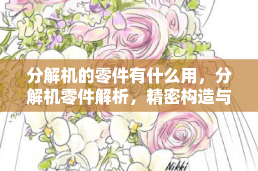 分解机的零件有什么用,分解机零件解析,精密构造与高效运作的奥秘 分解机的零件有什么用,分解机零件解析,精密构造与高效运作的奥秘