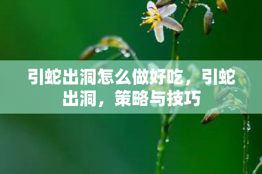 引蛇出洞怎么做好吃，引蛇出洞，策略与技巧