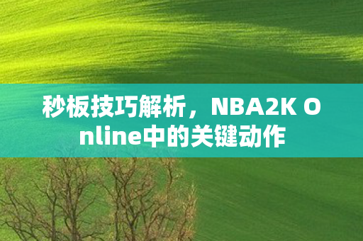 秒板技巧解析，NBA2K Online中的关键动作