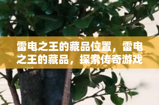 雷电之王的藏品位置，雷电之王的藏品，探索传奇游戏的珍贵遗产
