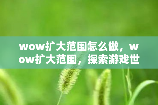 wow扩大范围怎么做,wow扩大范围,探索游戏世界的无限可能 wow扩大范围怎么做,wow扩大范围,探索游戏世界的无限可能