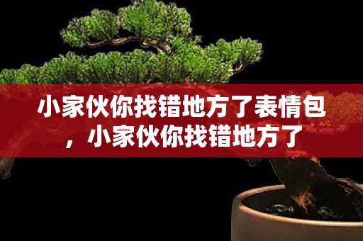 小家伙你找错地方了表情包,小家伙你找错地方了 小家伙你找错地方了表情包,小家伙你找错地方了