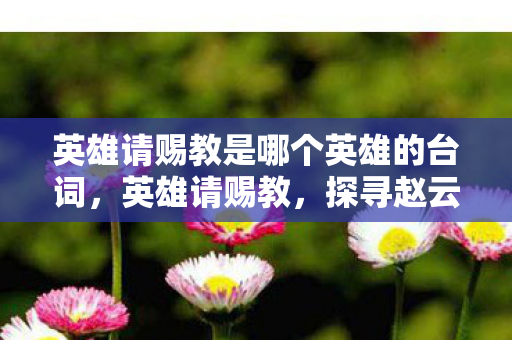 英雄请赐教是哪个英雄的台词，英雄请赐教，探寻赵云的传奇之路